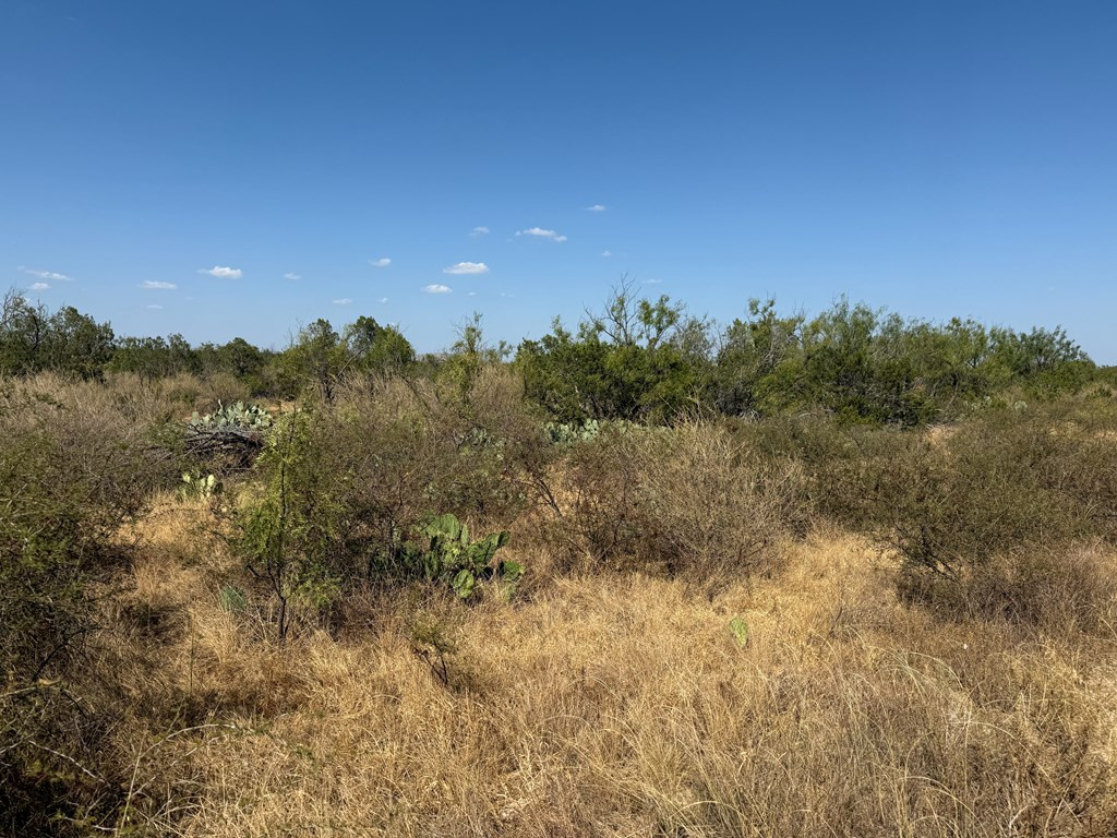480 Craft Trail Property Photo 4