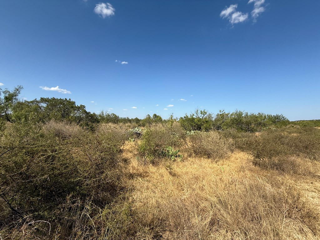480 Craft Trail Property Photo 5