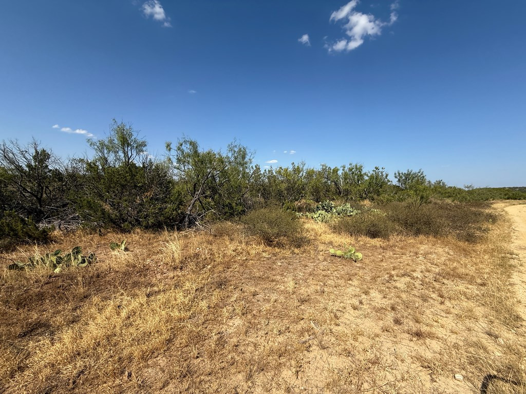 480 Craft Trail Property Photo 6