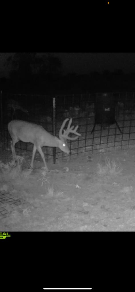 0000 Fm 1828 Property Photo 1