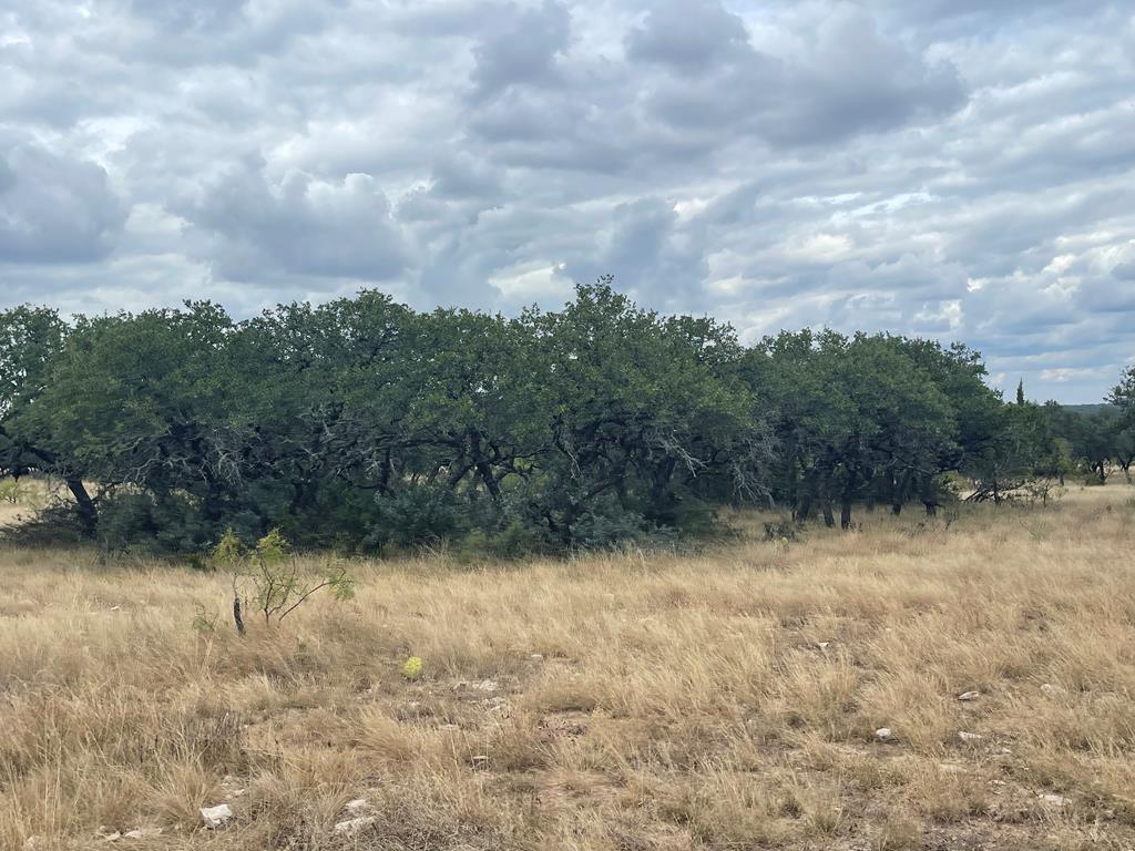 129131 Property Photo 1