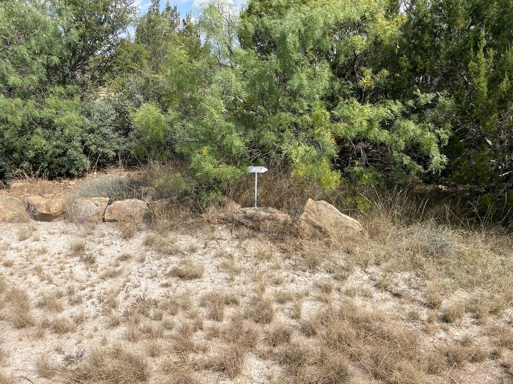 Tract 9 Colorado Trail Property Photo 3