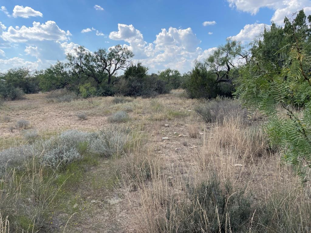 Tract 9 Colorado Trail Property Photo 7