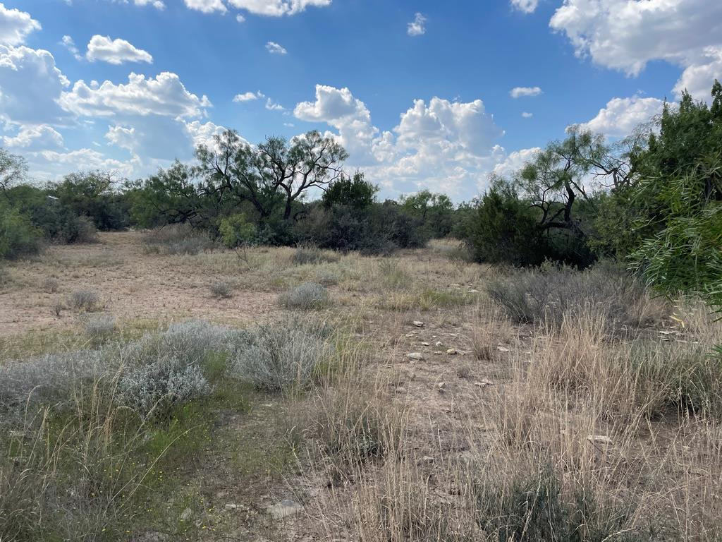 Tract 9 Colorado Trail Property Photo 8