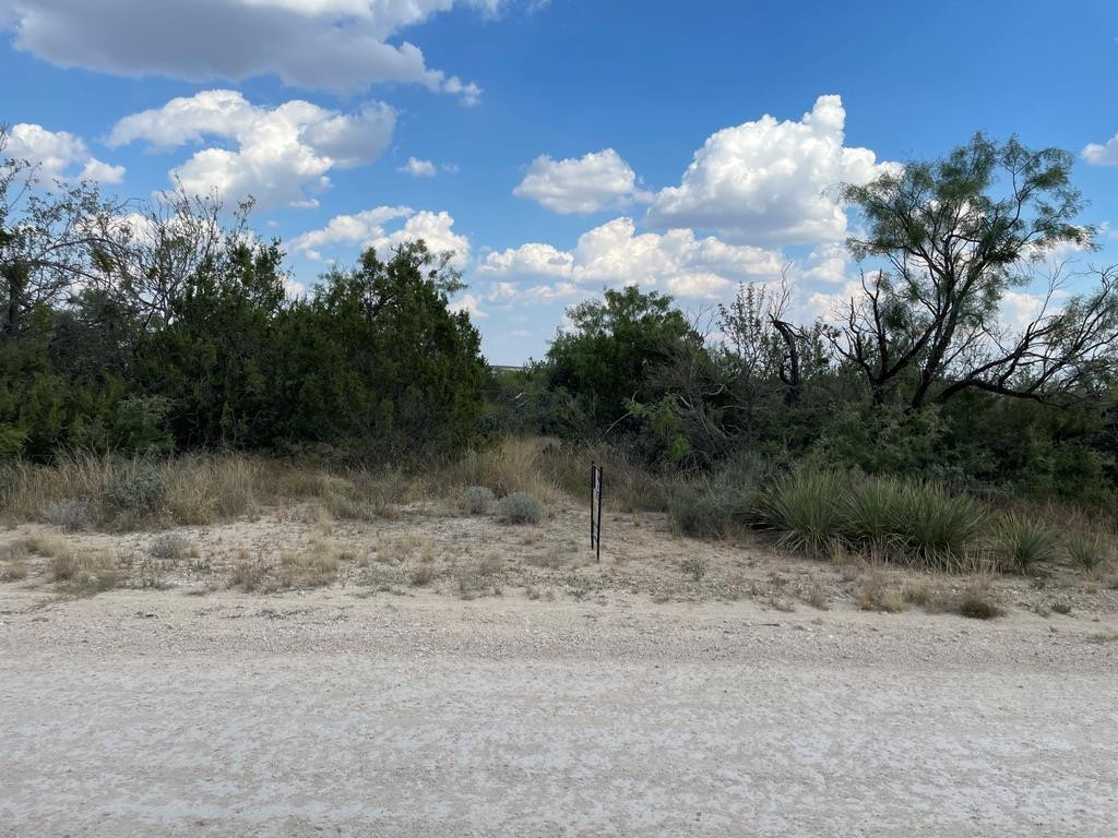 Tract 9 Colorado Trail Property Photo 10