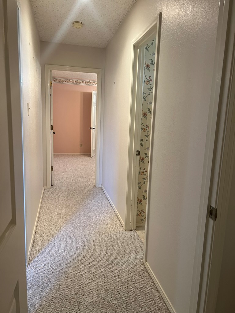 3709 Inglewood Dr Property Photo 46