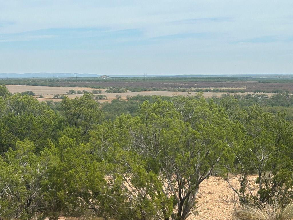 Tbd Fm 2333 Property Photo 1