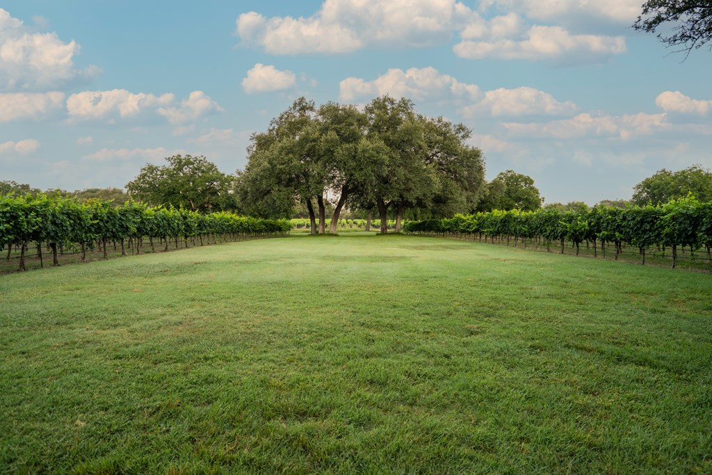 5000 Cralle Road Property Photo 7