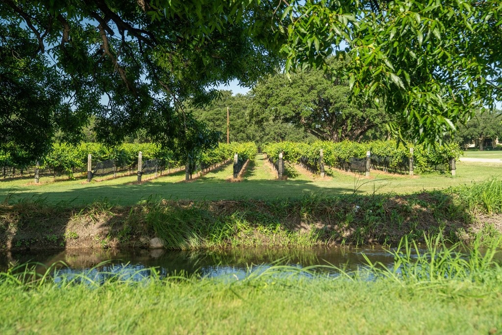5000 Cralle Road Property Photo 17