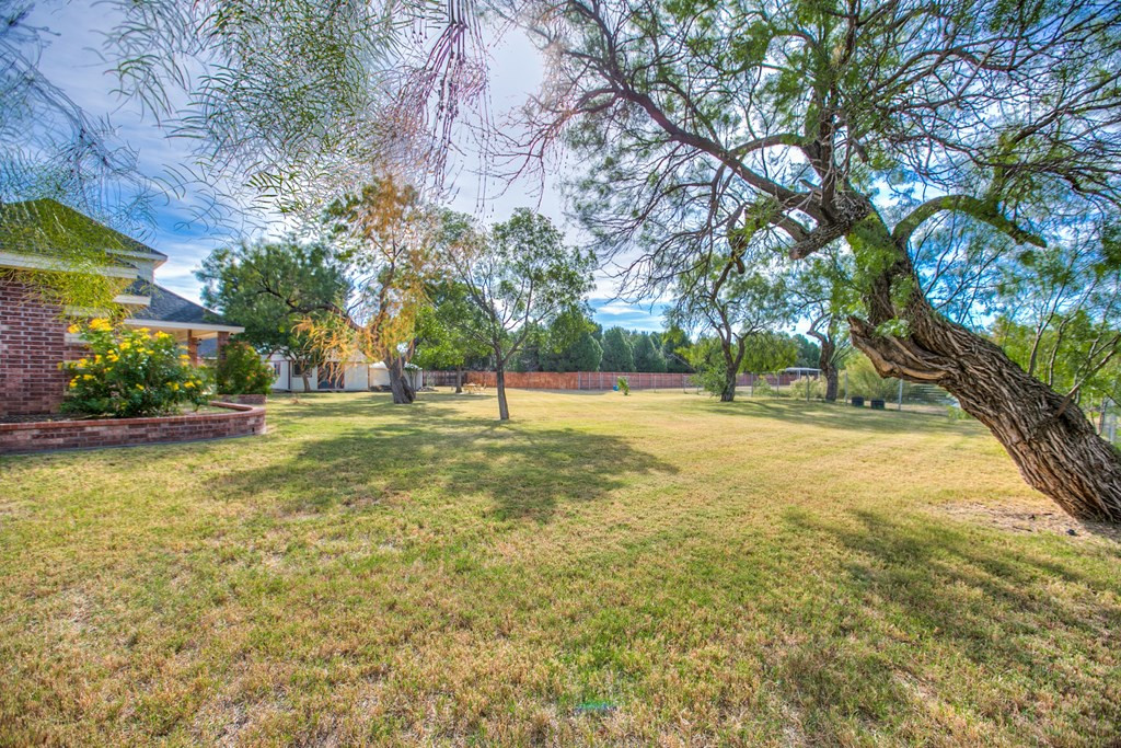 1515 Barbara Avenue Property Photo 49