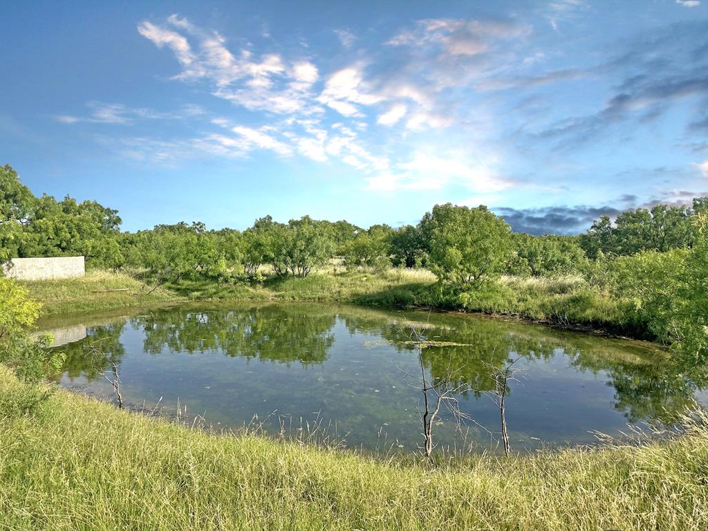 Tbd W Hwy 190 Property Photo 1