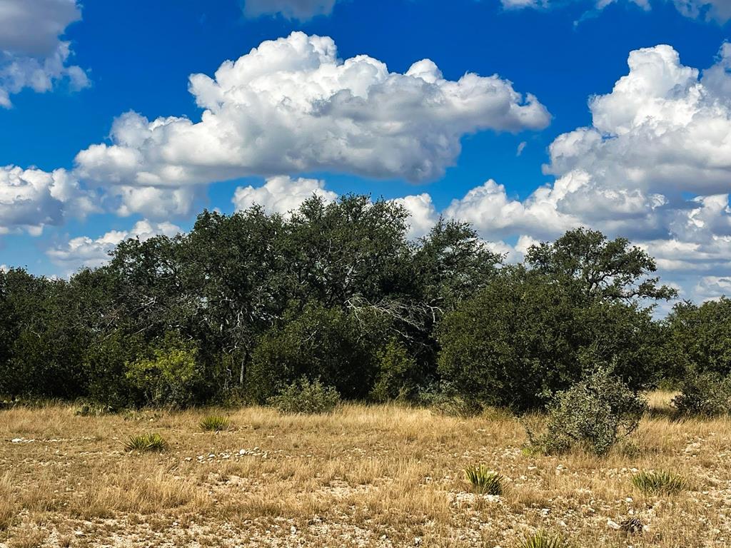 1101 County Road 350 Property Photo 1