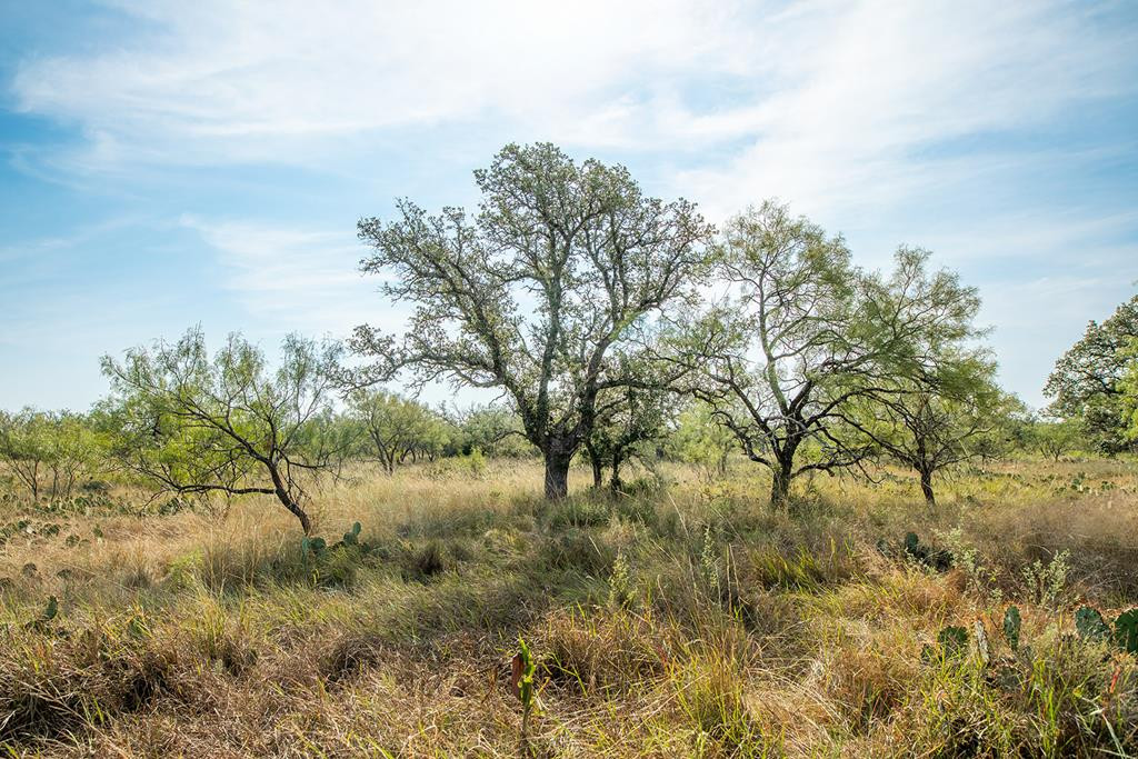 6960 Buck Ridge Property Photo 1