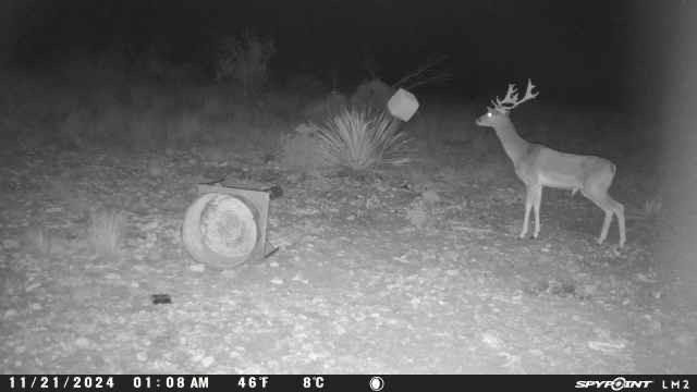 Tbd Deer Run Road Property Photo 11