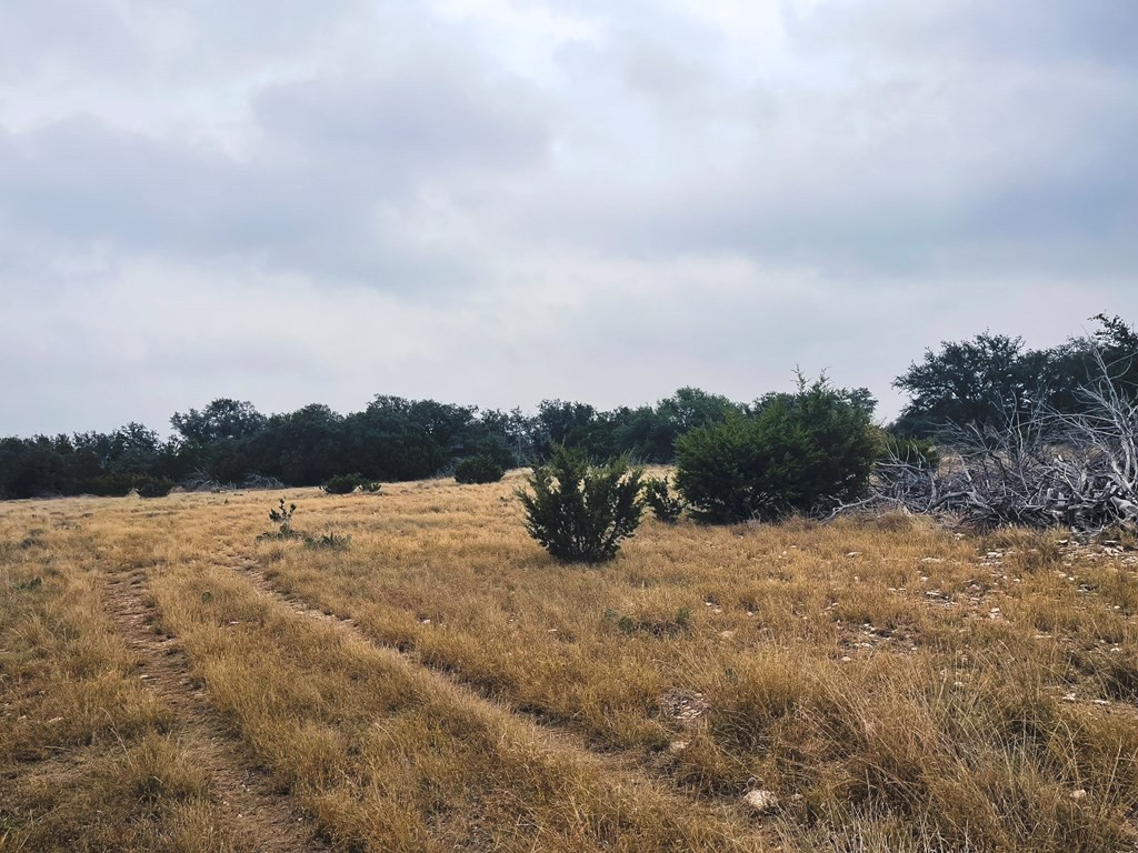 3100 Private Rd 2204 Property Photo 10