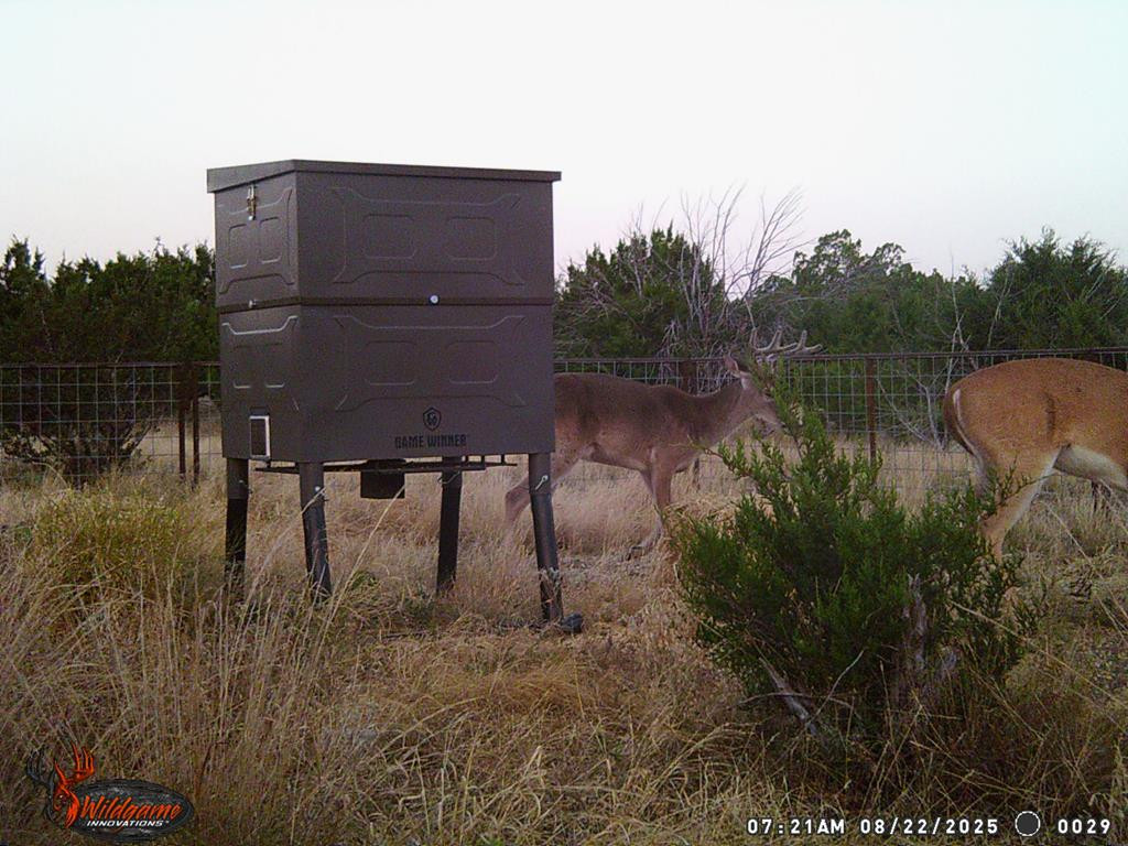 3100 Private Rd 2204 Property Photo 15