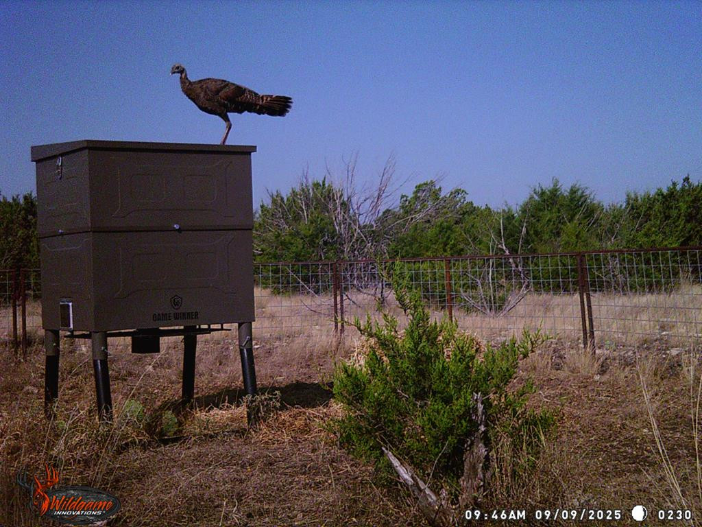 3100 Private Rd 2204 Property Photo 16