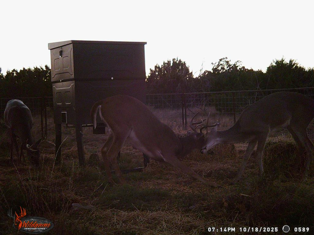3100 Private Rd 2204 Property Photo 18
