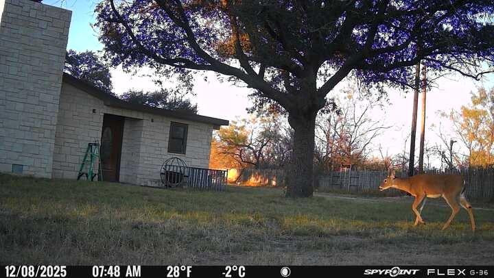 200 Neva Road Property Photo 6