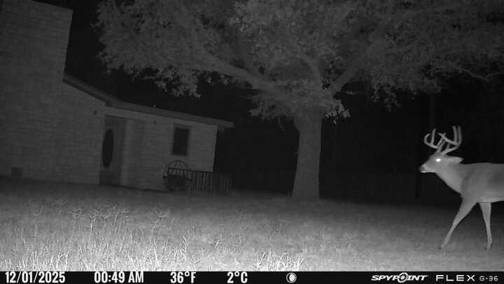 200 Neva Road Property Photo 49