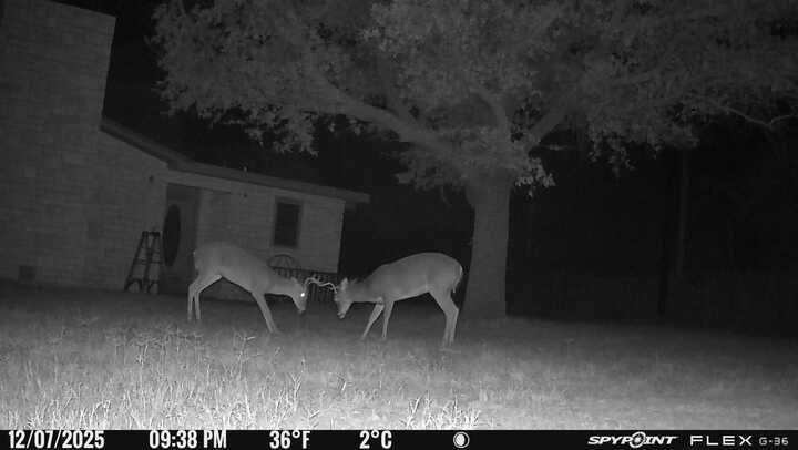 200 Neva Road Property Photo 51