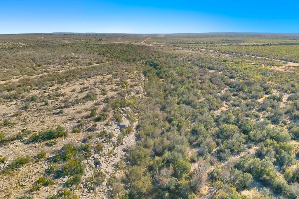 12938 Fielder Draw Road Property Photo 4