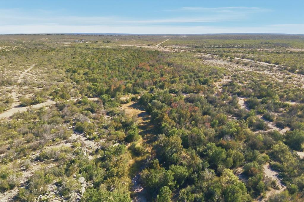 12938 Fielder Draw Road Property Photo 32