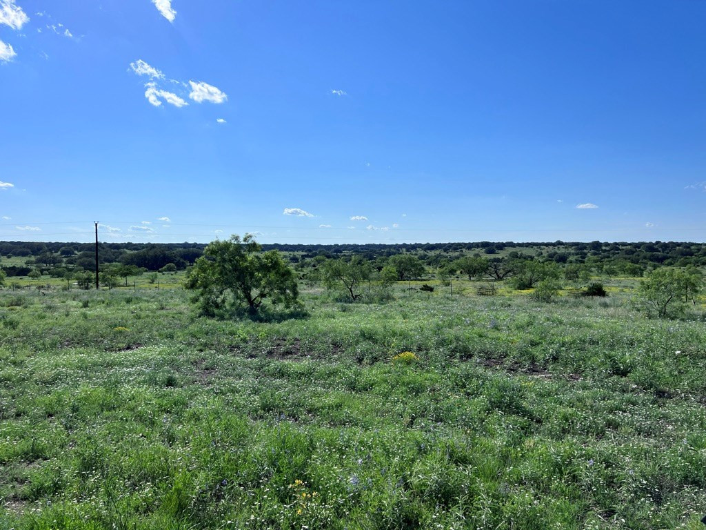 3420 Ne Fm 2596 Property Photo 4