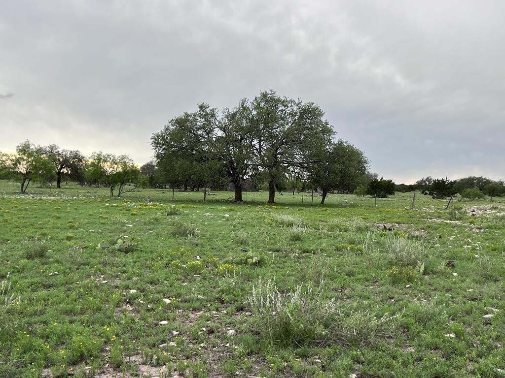 3420 Ne Fm 2596 Property Photo 10