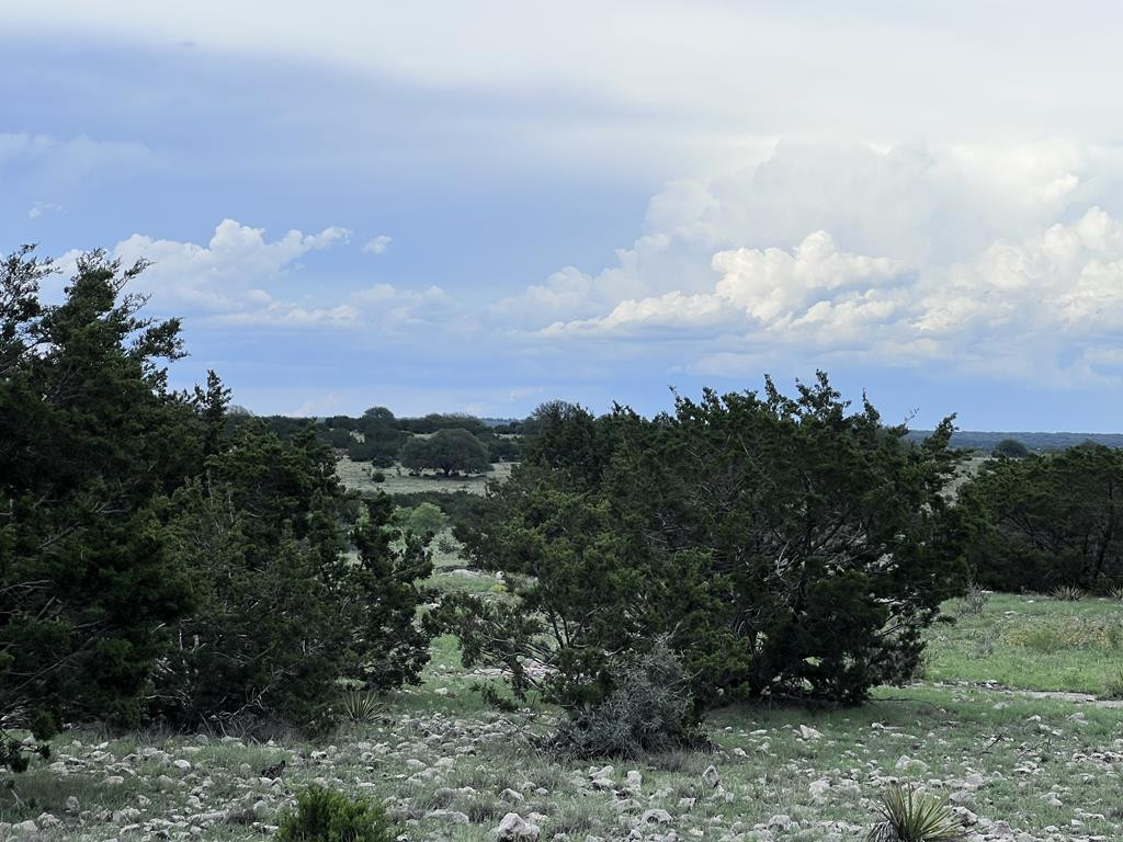 3420 Ne Fm 2596 Property Photo 19