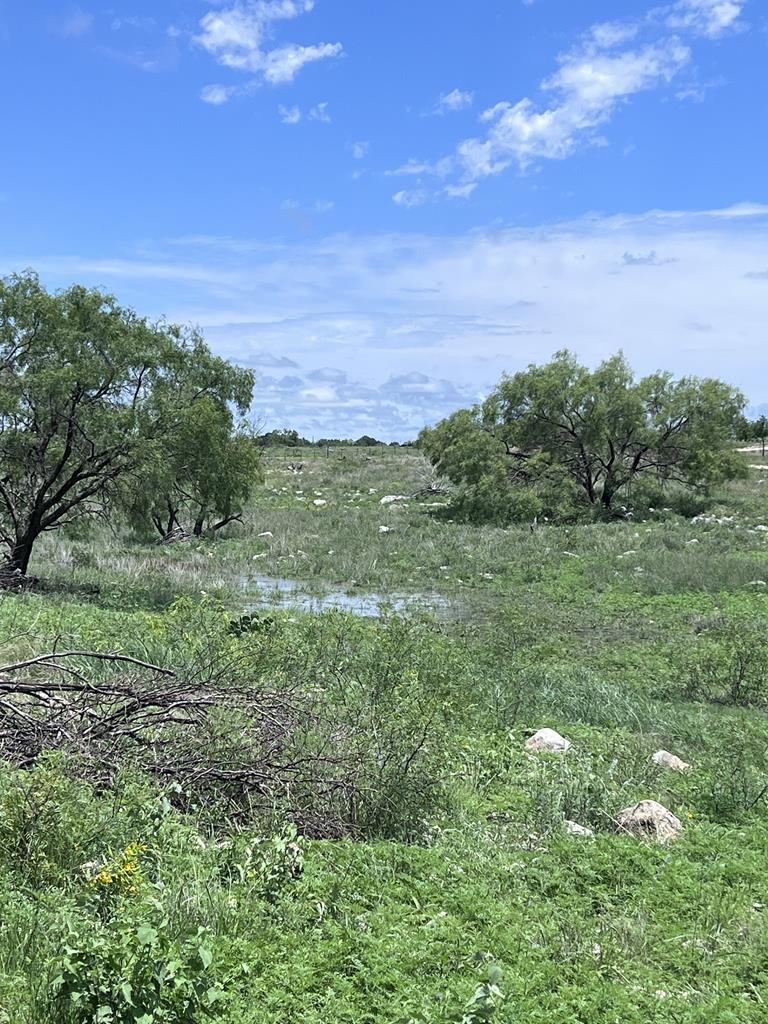 3420 Ne Fm 2596 Property Photo 22