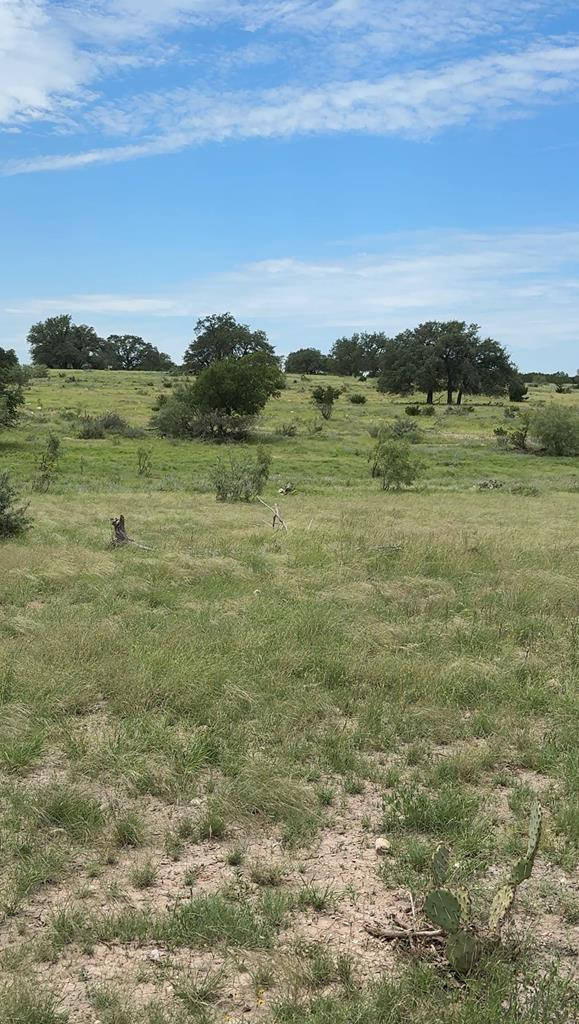3420 Ne Fm 2596 Property Photo 24