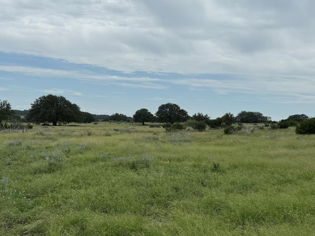 3420 Ne Fm 2596 Property Photo 26