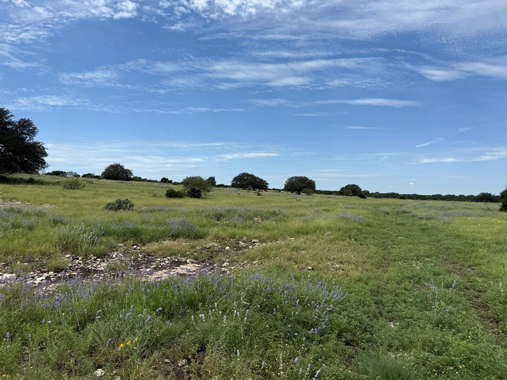 3420 Ne Fm 2596 Property Photo 28