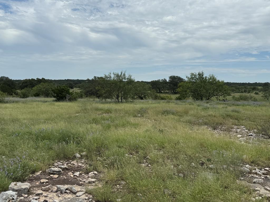 3420 Ne Fm 2596 Property Photo 29