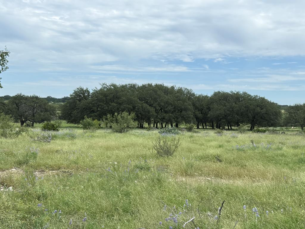 3420 Ne Fm 2596 Property Photo 30