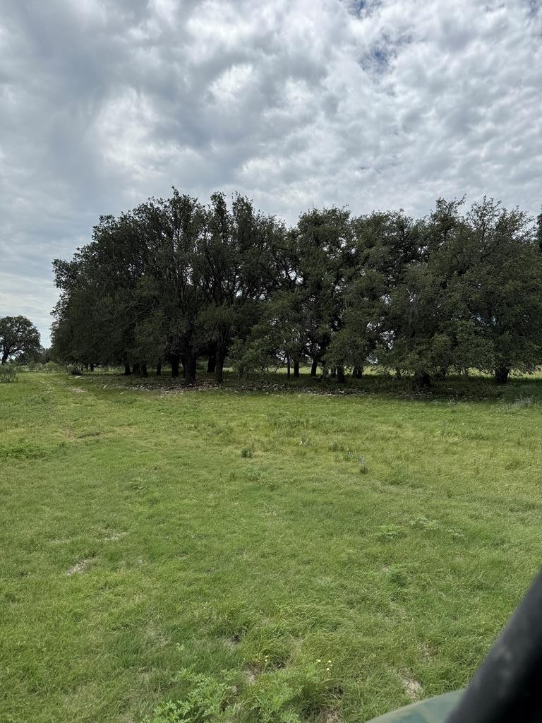 3420 Ne Fm 2596 Property Photo 31