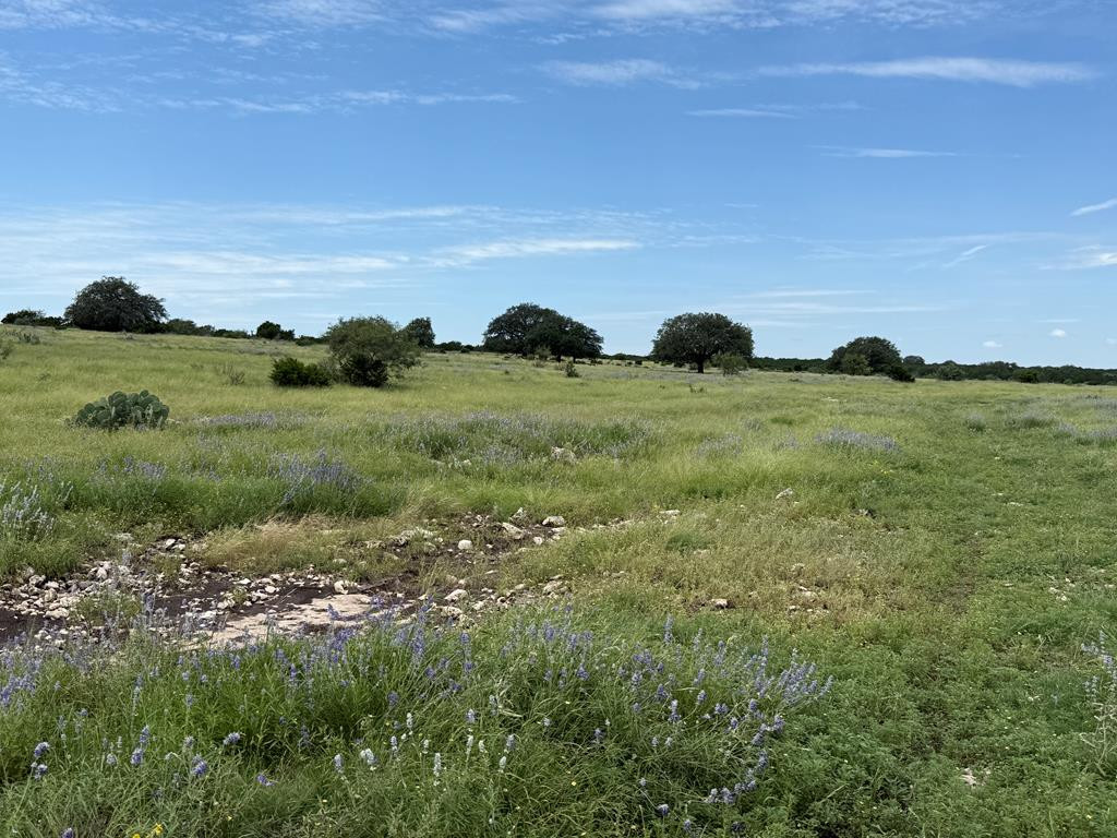 3420 Ne Fm 2596 Property Photo 32