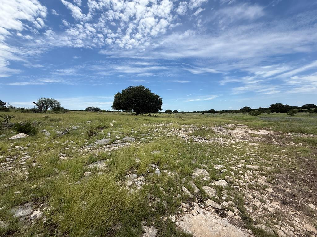3420 Ne Fm 2596 Property Photo 34