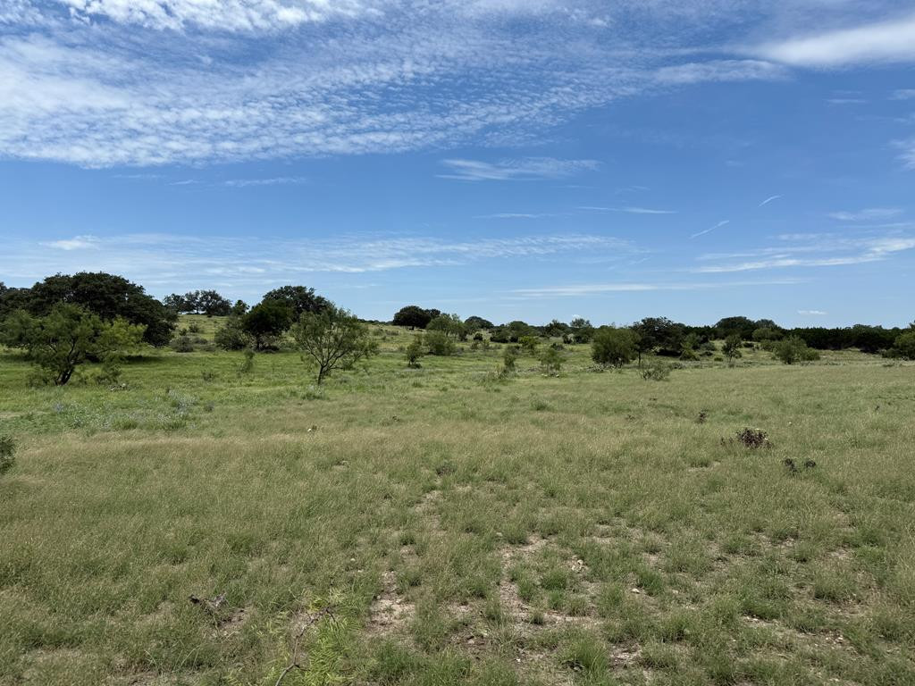 3420 Ne Fm 2596 Property Photo 54