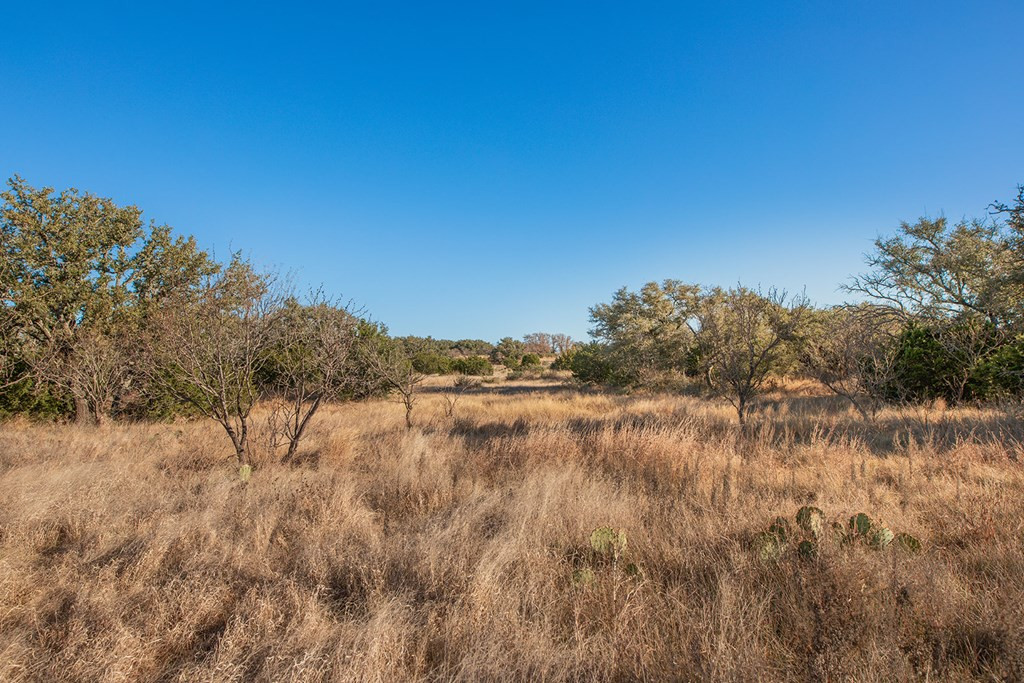 8536 W Fm 1222 Property Photo 18