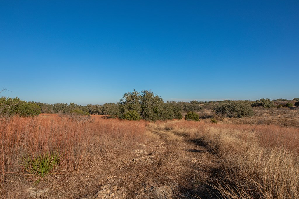 8536 W Fm 1222 Property Photo 21