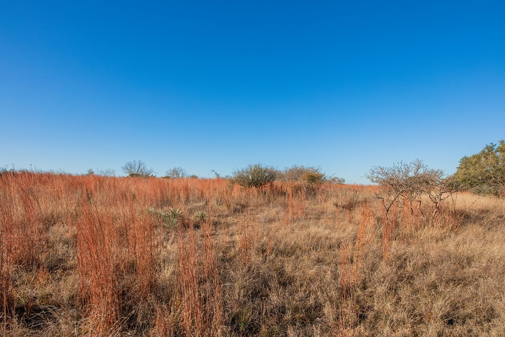 8536 W Fm 1222 Property Photo 25