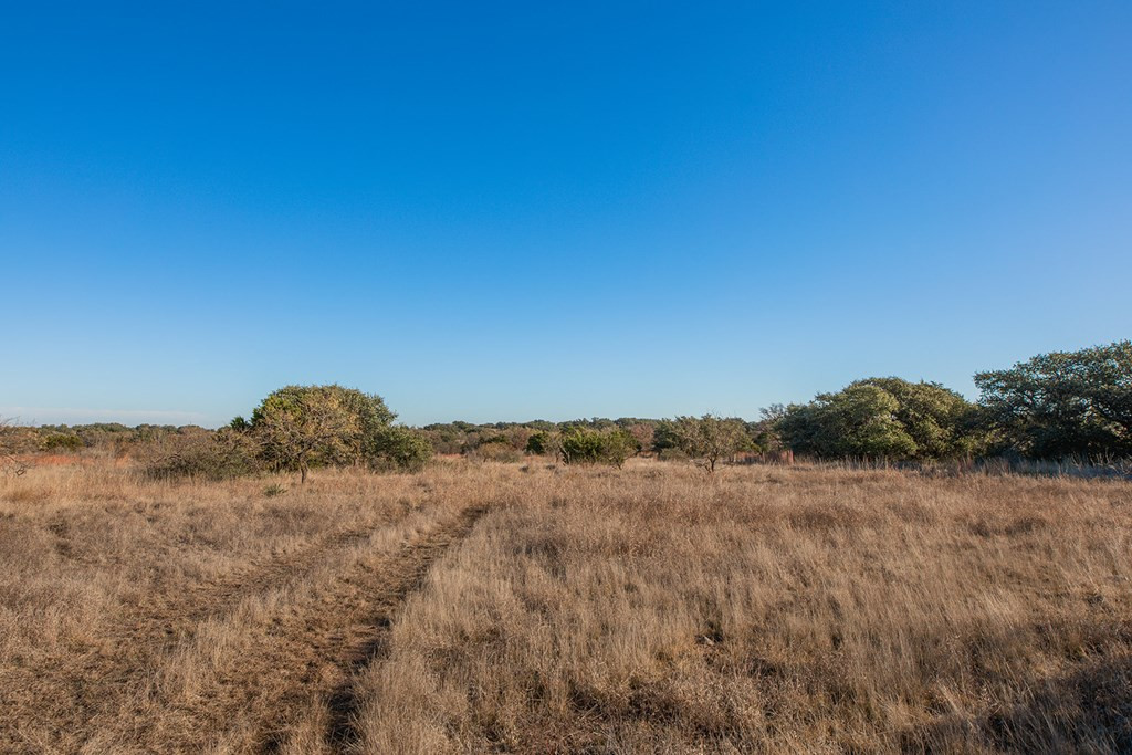 8536 W Fm 1222 Property Photo 26