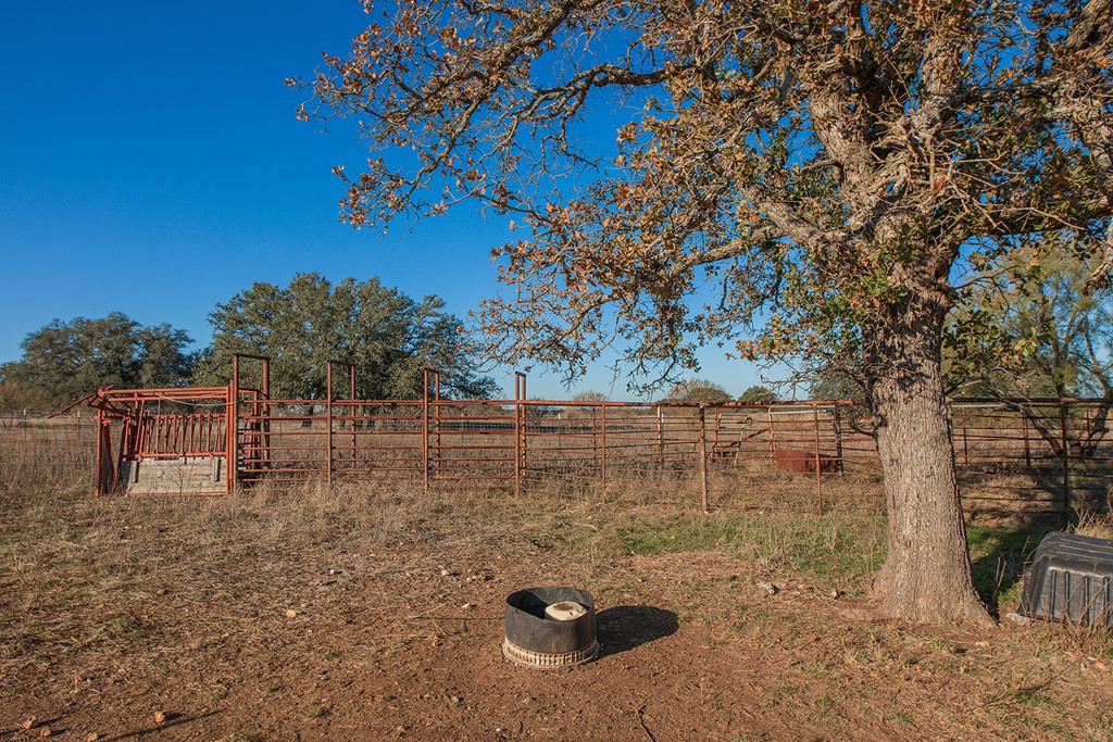 8536 W Fm 1222 Property Photo 30