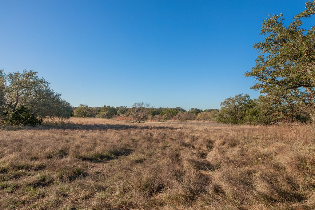 8536 W Fm 1222 Property Photo 35