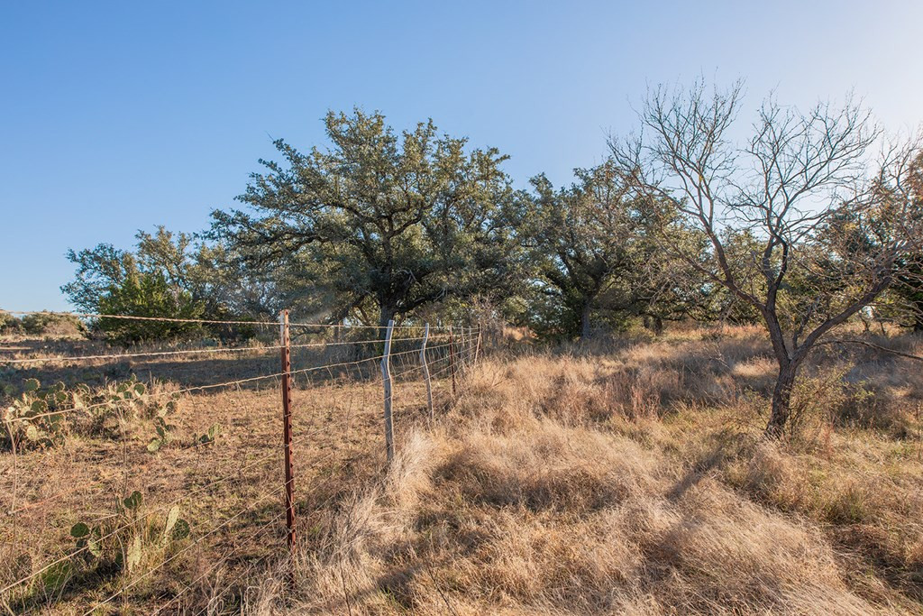 8536 W Fm 1222 Property Photo 37