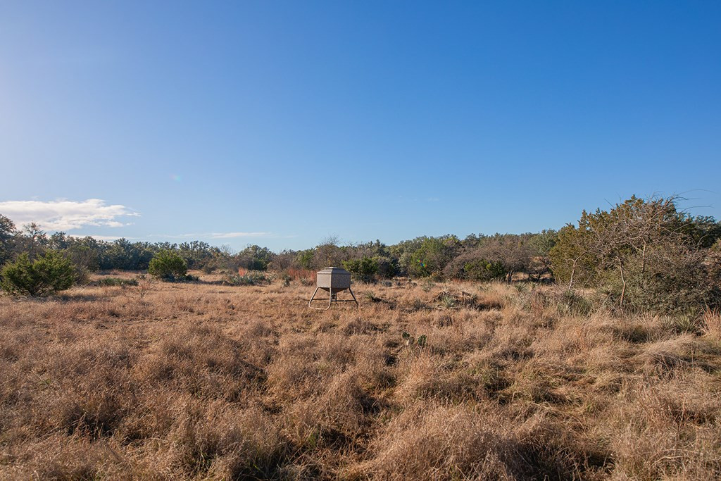 8536 W Fm 1222 Property Photo 38
