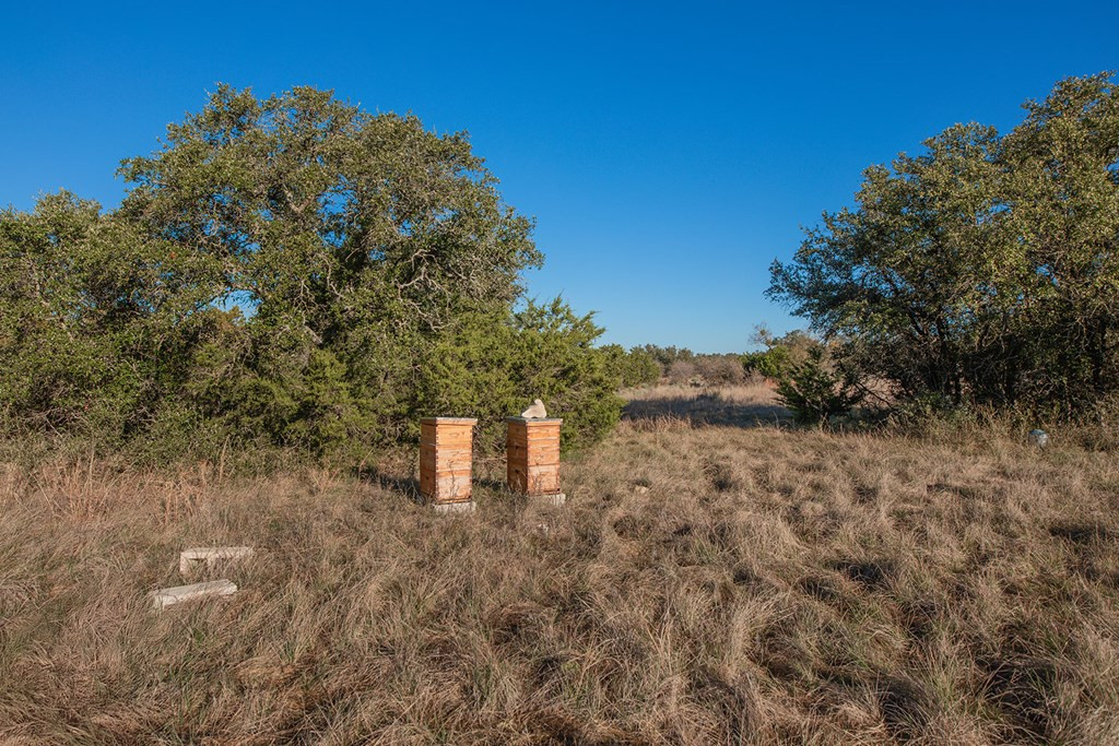 8536 W Fm 1222 Property Photo 40