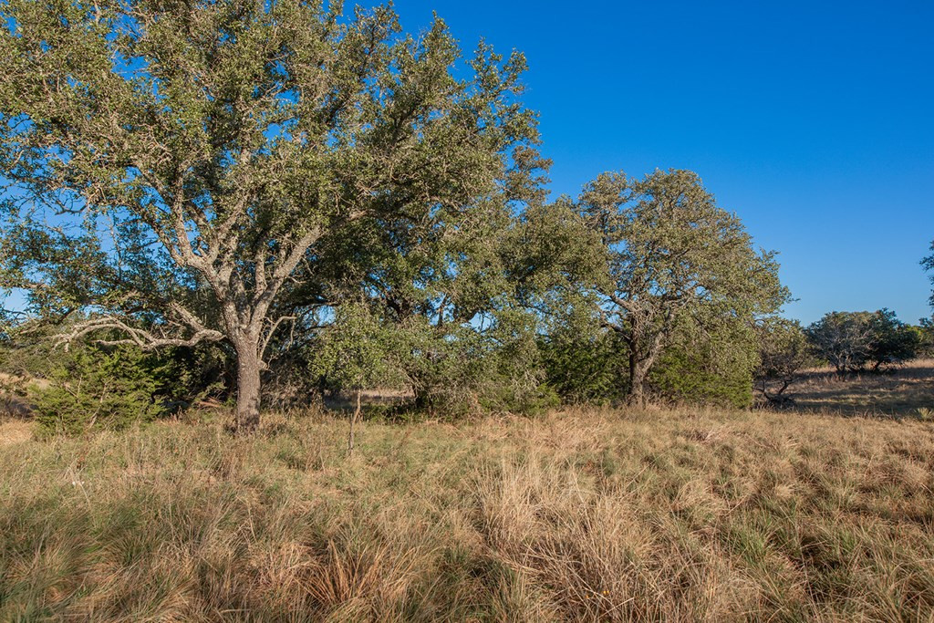 8536 W Fm 1222 Property Photo 41